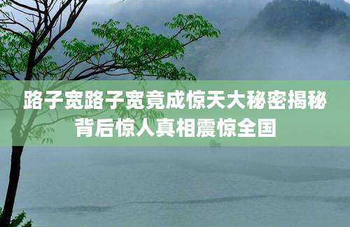 路子宽路子宽竟成惊天大秘密揭秘背后惊人真相震惊全国