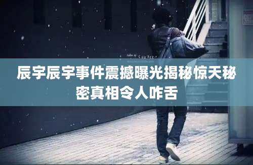 辰宇辰宇事件震撼曝光揭秘惊天秘密真相令人咋舌