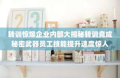 转训惊爆企业内部大揭秘转训竟成秘密武器员工技能提升速度惊人