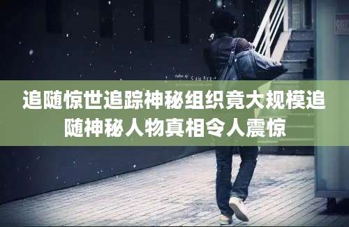 追随惊世追踪神秘组织竟大规模追随神秘人物真相令人震惊