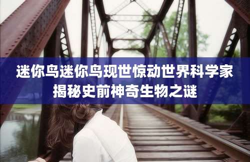 迷你鸟迷你鸟现世惊动世界科学家揭秘史前神奇生物之谜
