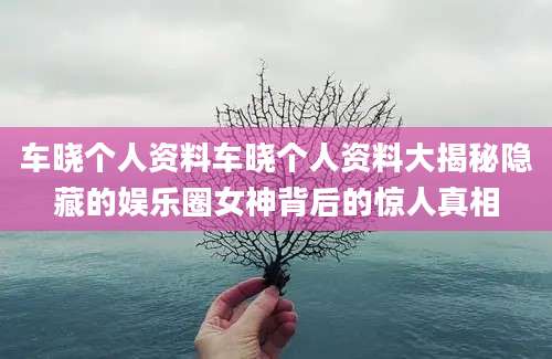 车晓个人资料车晓个人资料大揭秘隐藏的娱乐圈女神背后的惊人真相