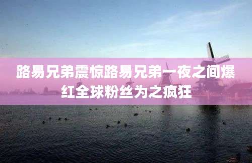 路易兄弟震惊路易兄弟一夜之间爆红全球粉丝为之疯狂