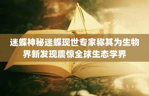 迷蝶神秘迷蝶现世专家称其为生物界新发现震惊全球生态学界