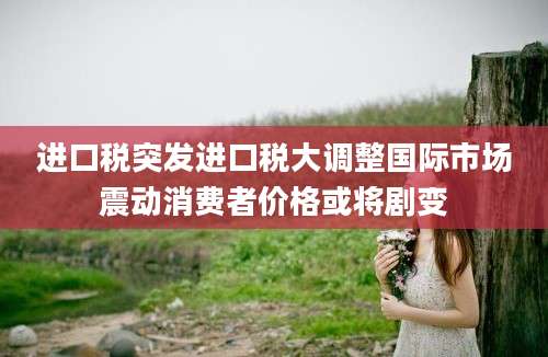 进口税突发进口税大调整国际市场震动消费者价格或将剧变