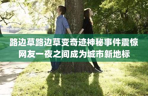 路边草路边草变奇迹神秘事件震惊网友一夜之间成为城市新地标