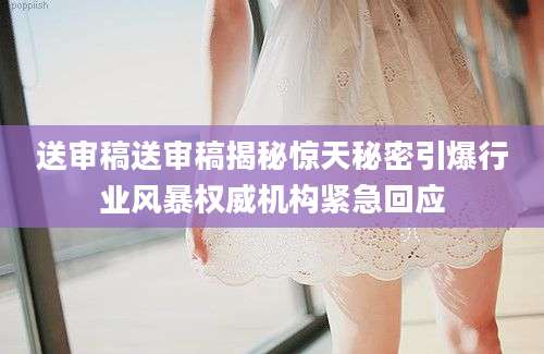 送审稿送审稿揭秘惊天秘密引爆行业风暴权威机构紧急回应