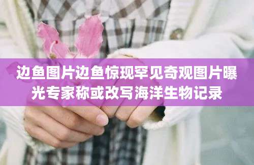 边鱼图片边鱼惊现罕见奇观图片曝光专家称或改写海洋生物记录