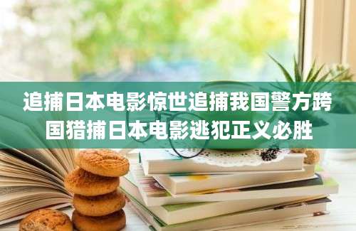 追捕日本电影惊世追捕我国警方跨国猎捕日本电影逃犯正义必胜