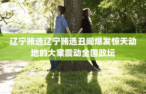 辽宁贿选辽宁贿选丑闻爆发惊天动地的大案震动全国政坛