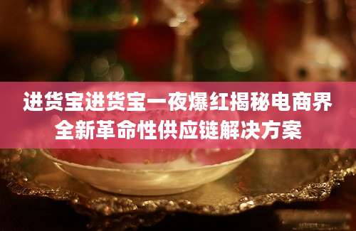 进货宝进货宝一夜爆红揭秘电商界全新革命性供应链解决方案
