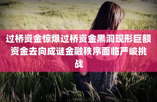 过桥资金惊爆过桥资金黑洞现形巨额资金去向成谜金融秩序面临严峻挑战