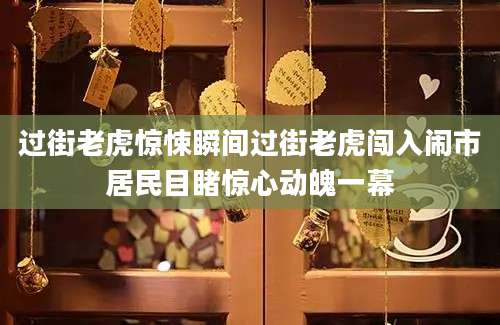 过街老虎惊悚瞬间过街老虎闯入闹市居民目睹惊心动魄一幕