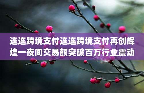 连连跨境支付连连跨境支付再创辉煌一夜间交易额突破百万行业震动
