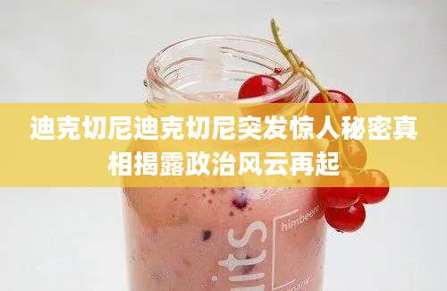 迪克切尼迪克切尼突发惊人秘密真相揭露政治风云再起