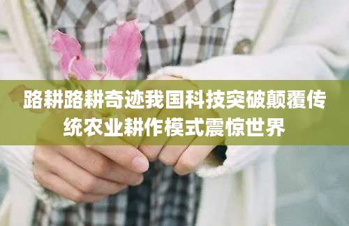 路耕路耕奇迹我国科技突破颠覆传统农业耕作模式震惊世界