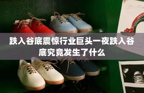 跌入谷底震惊行业巨头一夜跌入谷底究竟发生了什么
