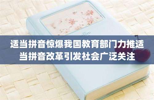 适当拼音惊爆我国教育部门力推适当拼音改革引发社会广泛关注