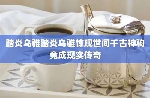 踏炎乌骓踏炎乌骓惊现世间千古神驹竟成现实传奇