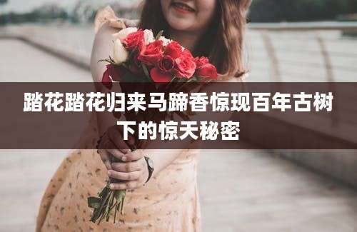 踏花踏花归来马蹄香惊现百年古树下的惊天秘密