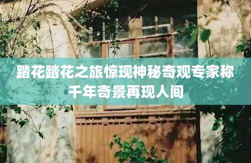 踏花踏花之旅惊现神秘奇观专家称千年奇景再现人间