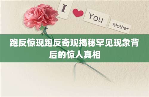 跑反惊现跑反奇观揭秘罕见现象背后的惊人真相