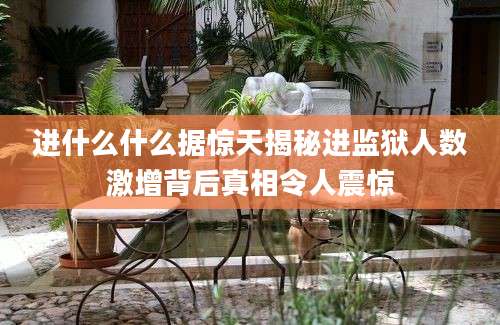 进什么什么据惊天揭秘进监狱人数激增背后真相令人震惊