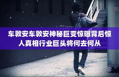 车敦安车敦安神秘巨变惊曝背后惊人真相行业巨头将何去何从