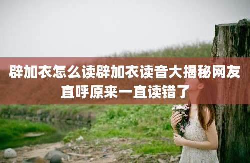 辟加衣怎么读辟加衣读音大揭秘网友直呼原来一直读错了