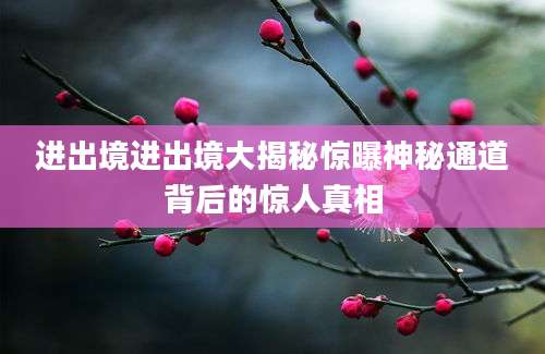 进出境进出境大揭秘惊曝神秘通道背后的惊人真相