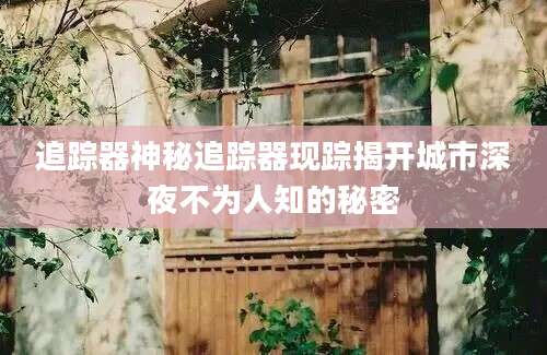 追踪器神秘追踪器现踪揭开城市深夜不为人知的秘密