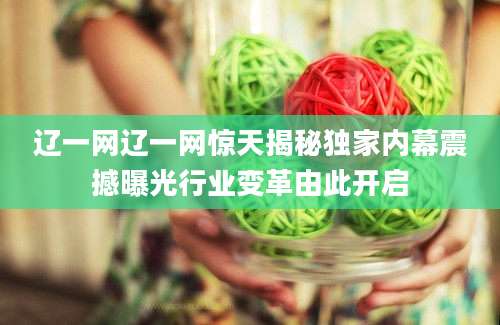 辽一网辽一网惊天揭秘独家内幕震撼曝光行业变革由此开启