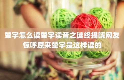 辇字怎么读辇字读音之谜终揭晓网友惊呼原来辇字是这样读的