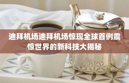 迪拜机场迪拜机场惊现全球首例震惊世界的新科技大揭秘