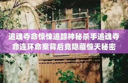 追魂夺命惊悚追踪神秘杀手追魂夺命连环命案背后竟隐藏惊天秘密