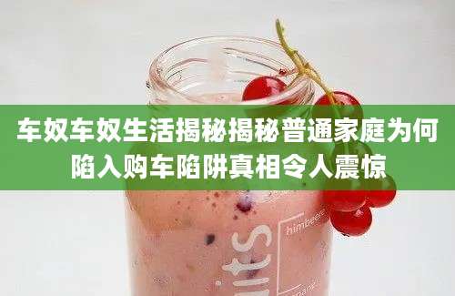 车奴车奴生活揭秘揭秘普通家庭为何陷入购车陷阱真相令人震惊