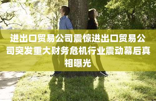 进出口贸易公司震惊进出口贸易公司突发重大财务危机行业震动幕后真相曝光