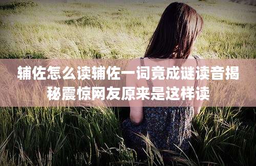 辅佐怎么读辅佐一词竟成谜读音揭秘震惊网友原来是这样读