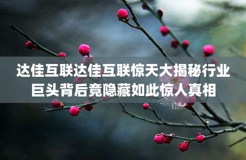 达佳互联达佳互联惊天大揭秘行业巨头背后竟隐藏如此惊人真相