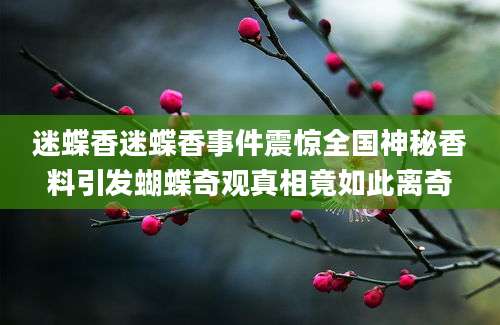 迷蝶香迷蝶香事件震惊全国神秘香料引发蝴蝶奇观真相竟如此离奇
