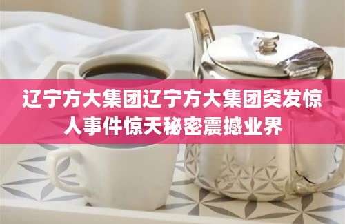 辽宁方大集团辽宁方大集团突发惊人事件惊天秘密震撼业界