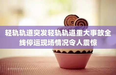 轻轨轨道突发轻轨轨道重大事故全线停运现场情况令人震惊
