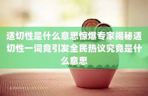 适切性是什么意思惊爆专家揭秘适切性一词竟引发全民热议究竟是什么意思