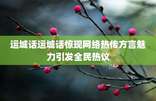 运城话运城话惊现网络热传方言魅力引发全民热议