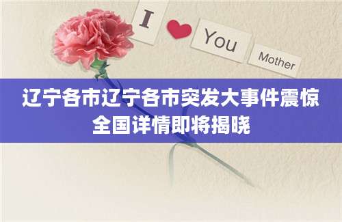 辽宁各市辽宁各市突发大事件震惊全国详情即将揭晓