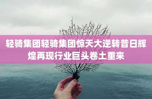 轻骑集团轻骑集团惊天大逆转昔日辉煌再现行业巨头卷土重来