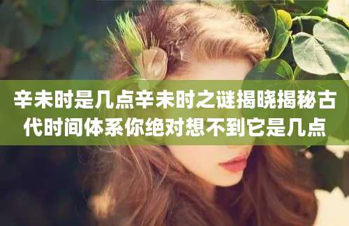 辛未时是几点辛未时之谜揭晓揭秘古代时间体系你绝对想不到它是几点