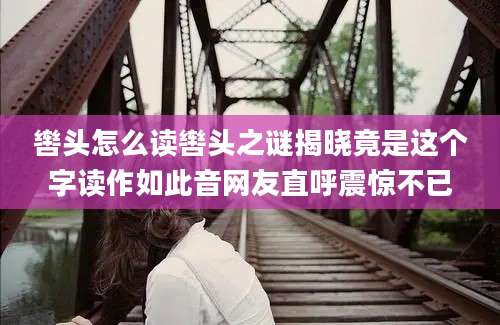 辔头怎么读辔头之谜揭晓竟是这个字读作如此音网友直呼震惊不已