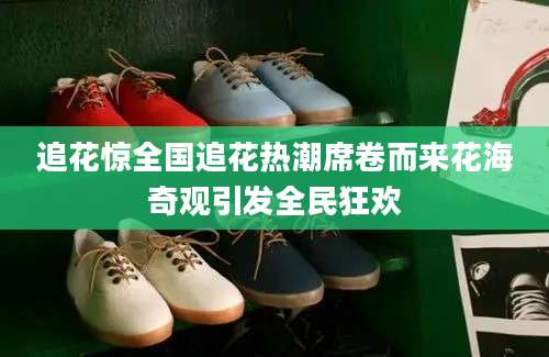 追花惊全国追花热潮席卷而来花海奇观引发全民狂欢