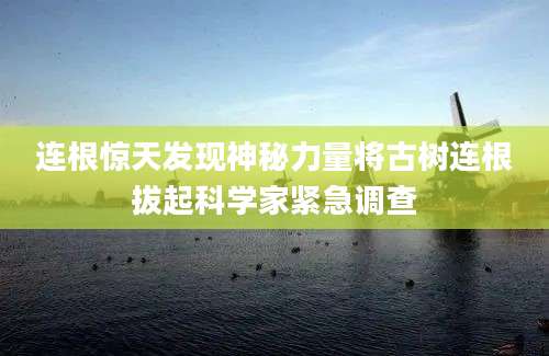 连根惊天发现神秘力量将古树连根拔起科学家紧急调查